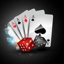 vivajack Apa yang kami tawarkan untuk Bull Bull